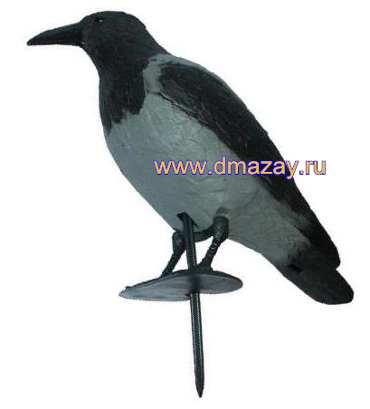 Чучело подсадное ворона серая BIRDLAND 7341S с лапами на опоре